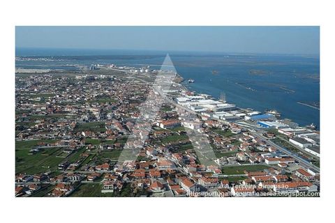 Terra a Sosa, Aveiro, Sosa - € 99.500 | Ref: 1040370/21 BR - foto 6