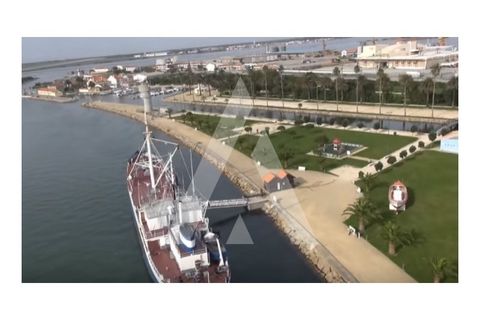 Terra a Sosa, Aveiro, Sosa - € 99.500 | Ref: 1040370/21 BR - foto 7