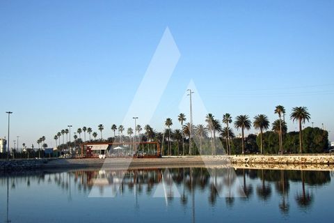 Terra a Sosa, Aveiro, Sosa - € 99.500 | Ref: 1040370/21 BR - foto 11