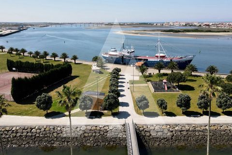 Terra a Sosa, Aveiro, Sosa - € 99.500 | Ref: 1040370/21 BR - foto 12