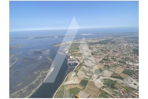 Terra a Sosa, Aveiro, Sosa - € 99.500 | Ref: 1040370/21 BR - foto 15