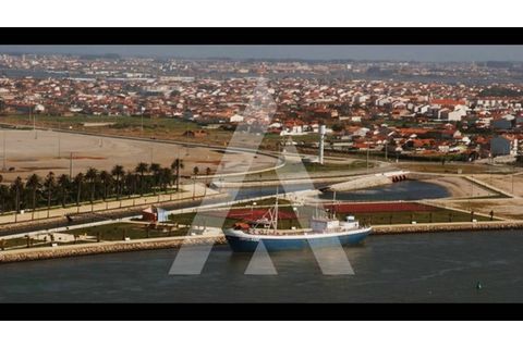 Terra a Sosa, Aveiro, Sosa - € 99.500 | Ref: 1040370/21 BR - foto 19