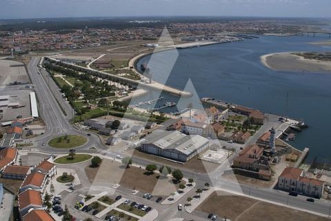 Terra a Sosa, Aveiro, Sosa - € 99.500 | Ref: 1040370/21 BR - foto 20