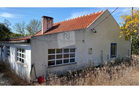 Farm i Coruche, Santarem, Coruche - € 215.000 | Ref: ID 01003046-01 - foto 2