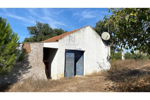 Farm i Coruche, Santarem, Coruche - € 215.000 | Ref: ID 01003046-01 - foto 6