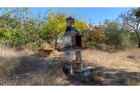 Farm i Coruche, Santarem, Coruche - € 215.000 | Ref: ID 01003046-01 - foto 7