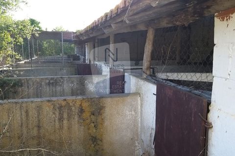 Farm i Coruche, Santarem, Coruche - € 215.000 | Ref: ID 01003046-01 - foto 9