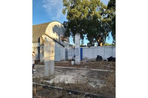 Farm i Coruche, Santarem, Coruche - € 215.000 | Ref: ID 01003046-01 - foto 10