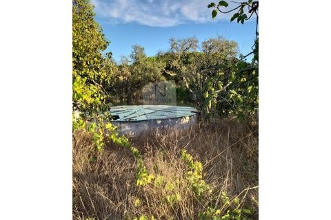 Farm i Coruche, Santarem, Coruche - € 215.000 | Ref: ID 01003046-01 - foto 11