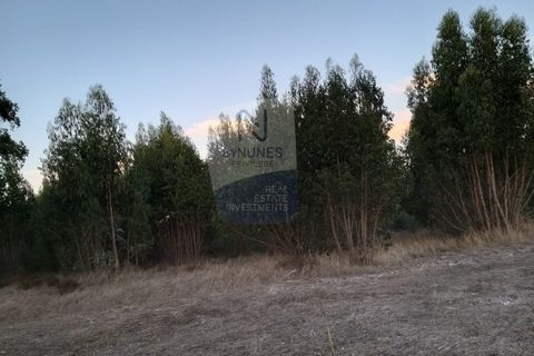 Farm i Coruche, Santarem, Coruche - € 215.000 | Ref: ID 01003046-01 - foto 12
