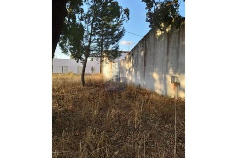 Farm i Coruche, Santarem, Coruche - € 215.000 | Ref: ID 01003046-01 - foto 14
