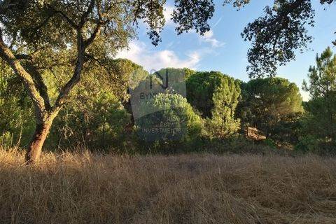 Farm i Coruche, Santarem, Coruche - € 215.000 | Ref: ID 01003046-01 - foto 17