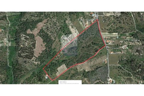 Farm i Coruche, Santarem, Coruche - € 215.000 | Ref: ID 01003046-01 - foto 23