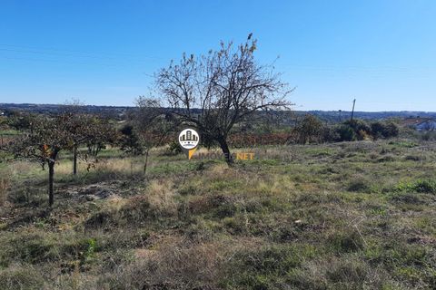 Helårsgrund i Castelo Branco, Castelo Branco, Castelo Branco - € 65.000 | Ref: 2383 - foto 3