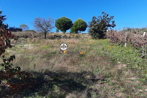 Helårsgrund i Castelo Branco, Castelo Branco, Castelo Branco - € 65.000 | Ref: 2383 - foto 6