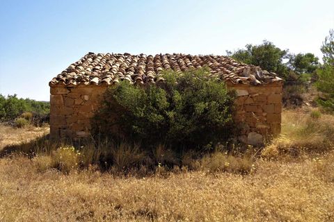Finca i Maella, Zaragoza, Maella - € 18.500 | Ref: 0655 - foto 10