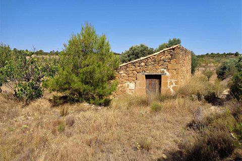 Finca i Maella, Zaragoza, Maella - € 18.500 | Ref: 0655 - foto 6