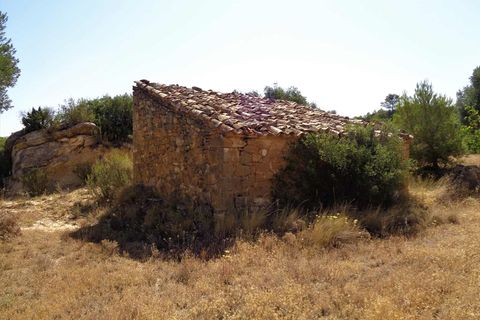 Finca i Maella, Zaragoza, Maella - € 18.500 | Ref: 0655 - foto 9