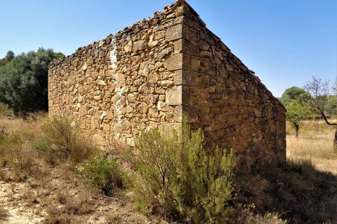 Finca i Maella, Zaragoza, Maella - € 18.500 | Ref: 0655 - foto 8