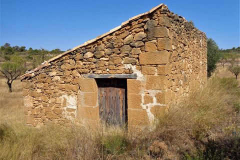 Finca i Maella, Zaragoza, Maella - € 18.500 | Ref: 0655 - foto 7