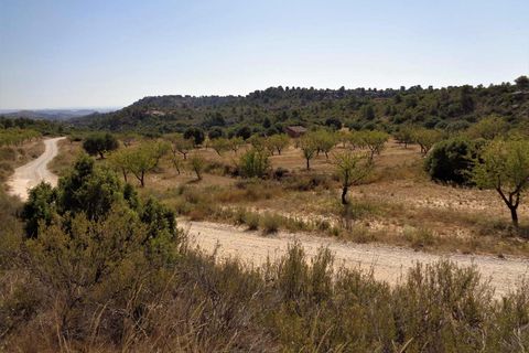 Finca i Maella, Zaragoza, Maella - € 18.500 | Ref: 0655 - foto 15