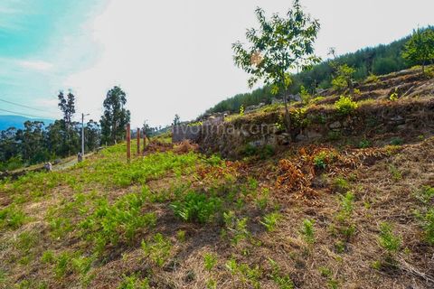 Helårsgrund i Moncao, Viana do Castelo, Moncao - € 27.000 | Ref: 3755 - foto 3