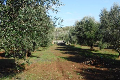 Landejendom i Ostuni, Brindisi, Ostuni - € 76.000 | Ref: 144 - foto 29