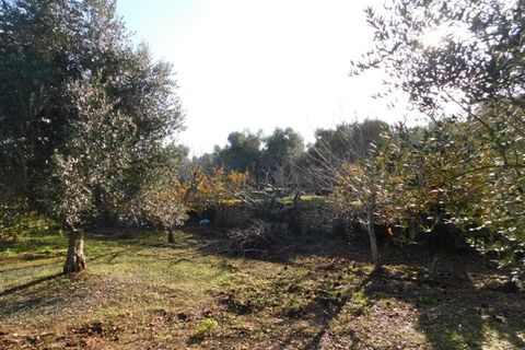 Landejendom i Ostuni, Brindisi, Ostuni - € 76.000 | Ref: 144 - foto 33