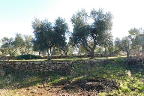 Landejendom i Ostuni, Brindisi, Ostuni - € 76.000 | Ref: 144 - foto 40