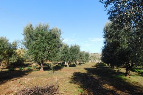 Landejendom i Ostuni, Brindisi, Ostuni - € 76.000 | Ref: 144 - foto 28