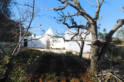 Landejendom i Ostuni, Brindisi, Ostuni - € 76.000 | Ref: 144 - foto 32