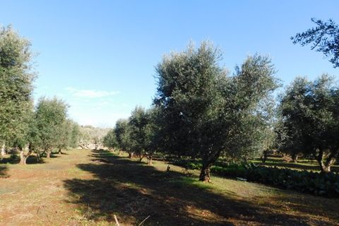 Landejendom i Ostuni, Brindisi, Ostuni - € 76.000 | Ref: 144 - foto 25