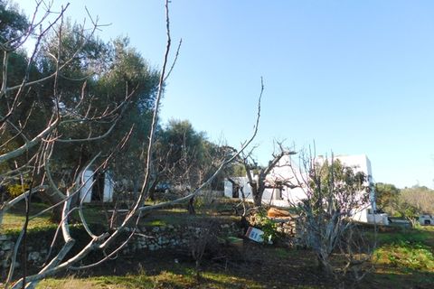 Landejendom i Ostuni, Brindisi, Ostuni - € 76.000 | Ref: 144 - foto 34
