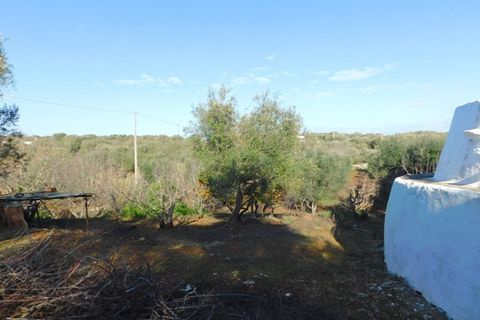 Landejendom i Ostuni, Brindisi, Ostuni - € 76.000 | Ref: 144 - foto 26