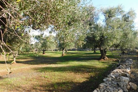 Landejendom i Ostuni, Brindisi, Ostuni - € 76.000 | Ref: 144 - foto 38