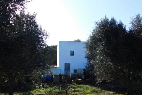 Landejendom i Ostuni, Brindisi, Ostuni - € 76.000 | Ref: 144 - foto 30