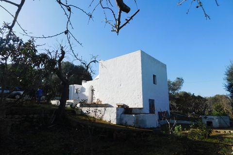 Landejendom i Ostuni, Brindisi, Ostuni - € 76.000 | Ref: 144 - foto 31