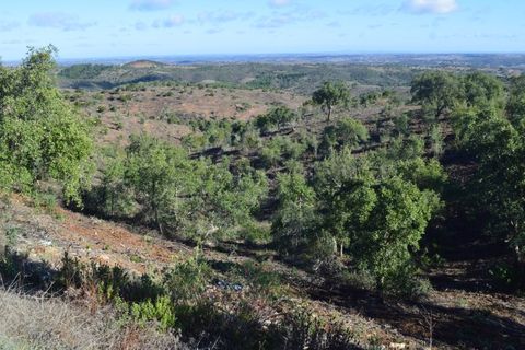 Terra a Almodovar, Beja, Almodovar - € 625.000 | Ref: SÒL_49112 - foto 2