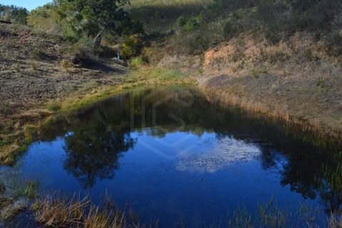 Terra a Almodovar, Beja, Almodovar - € 625.000 | Ref: SÒL_49112 - foto 3