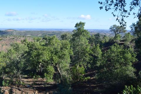 Terra a Almodovar, Beja, Almodovar - € 625.000 | Ref: SÒL_49112 - foto 4