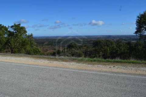 Terra a Almodovar, Beja, Almodovar - € 625.000 | Ref: SÒL_49112 - foto 5