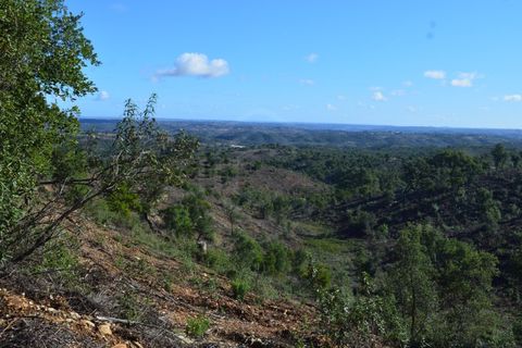 Terra a Almodovar, Beja, Almodovar - € 625.000 | Ref: SÒL_49112 - foto 6