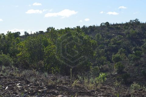 Terra a Almodovar, Beja, Almodovar - € 625.000 | Ref: SÒL_49112 - foto 8