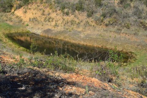 Terra a Almodovar, Beja, Almodovar - € 625.000 | Ref: SÒL_49112 - foto 13