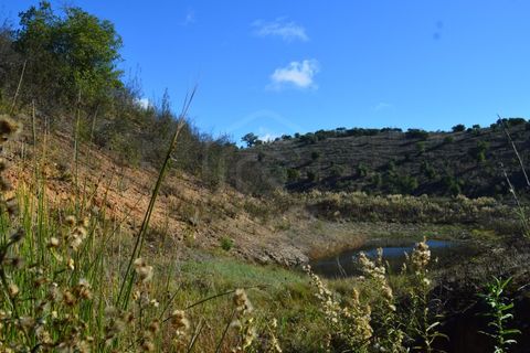 Terra a Almodovar, Beja, Almodovar - € 625.000 | Ref: SÒL_49112 - foto 14