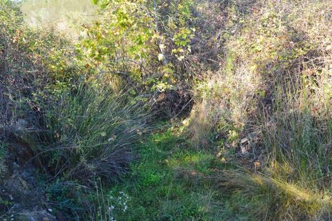 Terra a Almodovar, Beja, Almodovar - € 625.000 | Ref: SÒL_49112 - foto 15