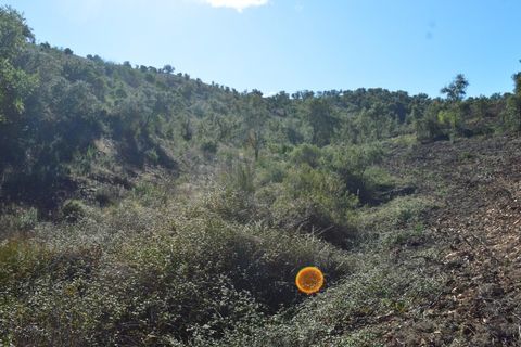 Terra a Almodovar, Beja, Almodovar - € 625.000 | Ref: SÒL_49112 - foto 19