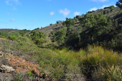 Terra a Almodovar, Beja, Almodovar - € 625.000 | Ref: SÒL_49112 - foto 20