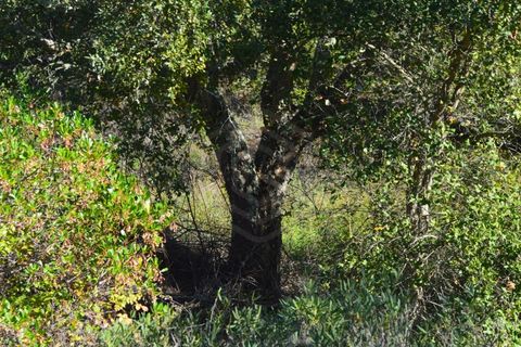 Terra a Almodovar, Beja, Almodovar - € 625.000 | Ref: SÒL_49112 - foto 22
