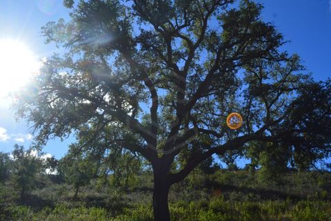 Terra a Almodovar, Beja, Almodovar - € 625.000 | Ref: SÒL_49112 - foto 26